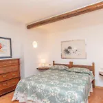 Monolocale Fagiano Apartment
