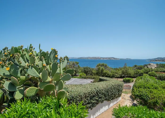 Monolocale Fagiano 公寓 *